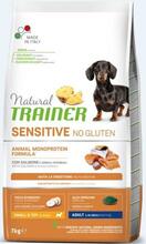 Kuivtoit koertele Natural Trainer Sensitive No Gluten lõhega, 7 kg
