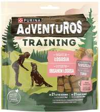Maius koertele Purina Adventuros Training lõhega, 40 g