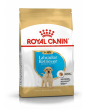 Kuivtoit koertele Royal Canin Labrador Retriever Junior, 12 kg