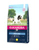 Kuivtoit koertele Eukanuba Thriving Mature Medium Breed kanaga, 3 kg