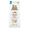 Kuivtoit vanematele koertele, kõik tõud (üle 7 aasta) Brit Care Grain-free Senior&Light Salmon, 12 kg