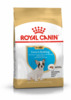 Kuivtoit koertele Royal Canin French Bulldog Junior, 3 kg