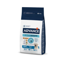 Kuivtoit koertele Advance Maxi Adult linnuliha ja riisiga, 12 kg
