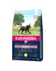 Kuivtoit kutsikatele Eukanuba Puppy Large Breeds, kanaliha, 3 kg