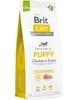 Kuivtoit kutsikatele Brit Care Sustainable Puppy kanaliha ja putukatega, 12 kg