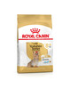 Kuivtoit koertele Royal Canin Yorkshire Terrier Adult 8+, 3 kg
