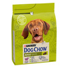 Kuivtoit koertele Purina Dog Chow Adult lambalihaga, 2,5 kg