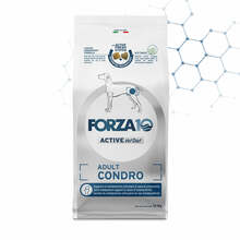 Kuivtoit koertele Forza10 Adult Condro Active, 10 kg