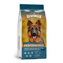 Kuivtoit koertele Divinus Performance saksa lambakoertele, 10 kg