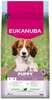 Kuivtoit kutsikatele Eukanuba Life Care Small/Medium Puppy lambalihaga, 12 kg