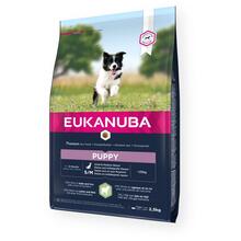 Kuivtoit kutsikatele Eukanuba Puppy Small & Medium Breed lambaliha ja riisiga, 2,5 kg