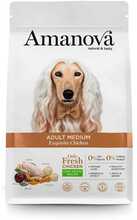 Kuivtoit koertele Amanova Adult Medium Exquisite Chicken kanaga, 2 kg