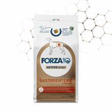 Kuivtoit koertele Forza10 VetDiet Gastroenteric Low Fat, 10 kg