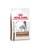 Kuivtoit koertele Royal Canin Gastro Intestinal Low Fat, 6 kg