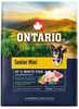 Kuivtoit koertele Ontario Senior Mini, kala ja pruun riis, 2,25 kg