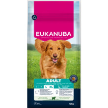 Kuivtoit koertele Eukanuba Adult Large Breed Lamb & Rice, 12 kg, lambaliha ja riisiga