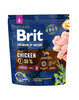 Kuivtoit koertele Brit Premium By Nature Junior S kanaga, 1 kg