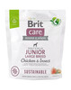 Kuivtoit koertele Brit Care Sustainable Junior Large Breed kanaliha ja putukatega, 1 kg