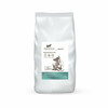 Kuivtoit koertele Natural Trail Premium Insects, 10 kg