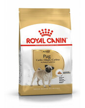 Kuivtoit koertele Royal Canin Pug Adult, 1,5 kg