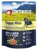 Kuivtoit kutsikatele Ontario Dog Mini Puppy Lamb & Rice, 750 g