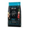 Kuivtoit koertele Fitmin For Life Adult Large Breed, 12 kg