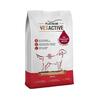 Kuivtoit koertele Platinum Vetactive Hypoallergenic Iberico, 5 kg
