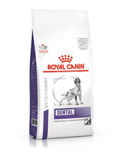 Kuivtoit koertele Royal Canin Dental, 6 kg