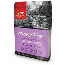 Kuivtoit suurt tõugu kutsikatele Orijen Puppy Large, 11,4 kg