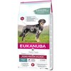 Kuivtoit koertele Eukanuba Daily Care Mono Protein Salmon, 12 kg