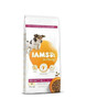 Kuivtoit koertele IAMS ProActive Health Mature & Senior kanaga, 12 kg