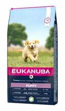 Kuivtoit koertele Eukanuba Puppy Lamb & Rice, 12 kg