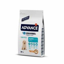 Kuivtoit kutsikatele Advance Puppy Maxi, 3 kg
