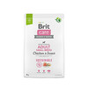 Kuivtoit koertele Brit Care Sustainable Adult Small Breed Chicken & Insect, kanaga, 3 kg