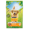 Kuivtoit koertele Purina Friskies Balance kanaga, 10 kg
