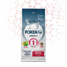 Kuivtoit koertele Forza10 Medium/Maxi Diet Sensitive Digestion kalaga, 10 kg