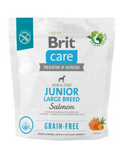 Kuivtoit koertele Brit Care Grain-free Junior Large Breed lõhega, 1 kg