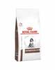 Kuivtoit koertele Royal Canin Gastro Intestinal Junior GIJ29, 10 kg