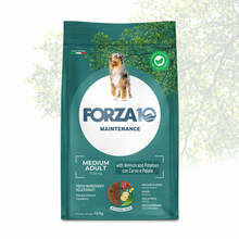 Kuivtoit koertele Forza10 Medium Adult Maintenance ulukiliha ja kartuliga, 12 kg