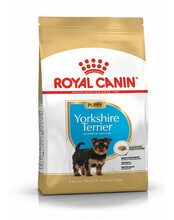 Kuivtoit koertele Royal Canin Yorkshire Terrier Junior, 0,5 kg