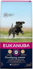 Kuivtoit kutsikatele Eukanuba Junior Large Breed, kanaga, 15 kg