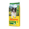 Kuivtoit koertele Josera Hypoallergenic Adult putukatega, 3 kg