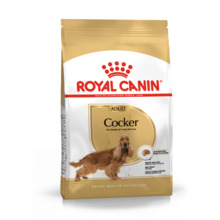Kuivtoit koertele Royal Canin Cocker Adult, 3 kg
