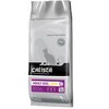 Kuivtoit koertele Calista Adult Lamb, 12 kg
