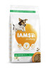 Kuivtoit koertele IAMS ProActive Health Adult Small & Medium Breed kanaga, 12 kg