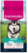 Kuivtoit koertele Eukanuba Life Care Large Adult lõhega, 12 kg