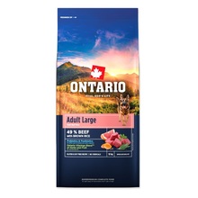 Kuivtoit koertele Ontario Adult Large Beef & Brown Rice, 12 kg