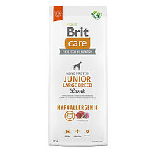 Kuivtoit noortele suurt tõugu koertele Brit Care Hypoallergenic Junior Large Breed Lamb, 12 kg