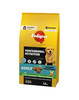 Kuivtoit koertele Pedigree Professional Nutrition Adult linnuliha ja köögiviljadega, 12 kg