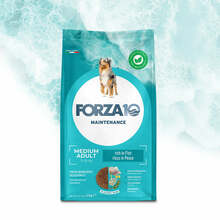 Kuivtoit koertele Forza10 Medium Adult Maintenance Fish, 2 kg